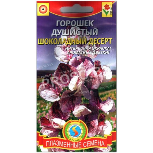 Душистый горошек Шоколадный десерт