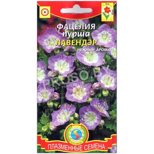 Фацелия пурша Лавендэр