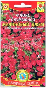 Флокс друммонда Малиновый джем