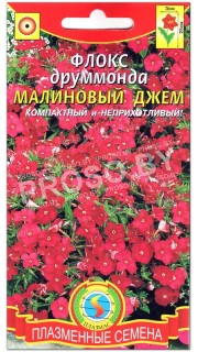 Флокс друммонда Малиновый джем