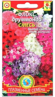 Флокс друммонда Смесь