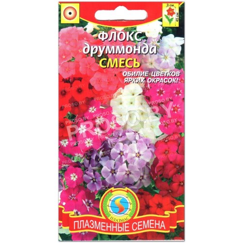 Флокс друммонда Смесь
