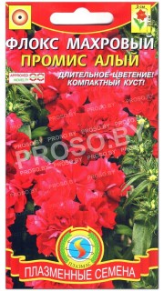 Флокс махровый Промис алый