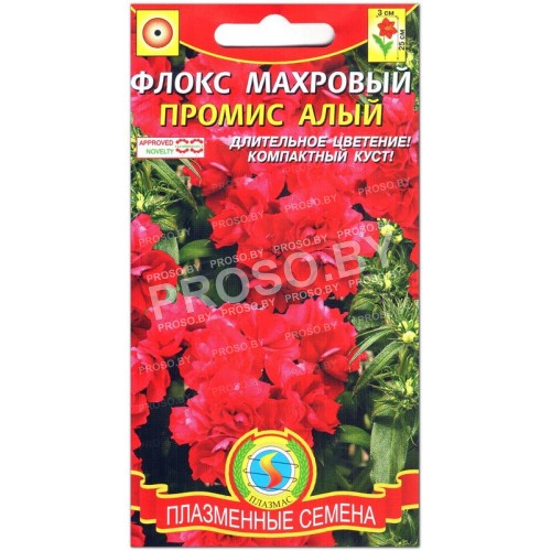 Флокс махровый Промис алый