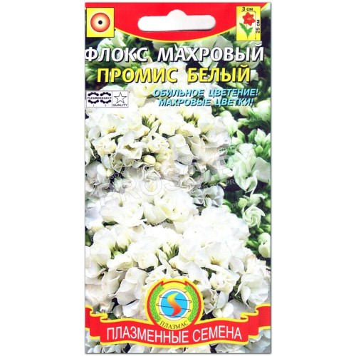 Флокс махровый Промис белый