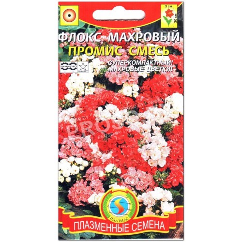 Флокс махровый Промис смесь