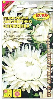 Гелихризум Снежинка