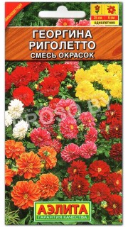 Георгина Риголетто, смесь