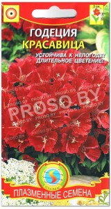 Годеция Красавица