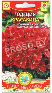 Годеция Красавица