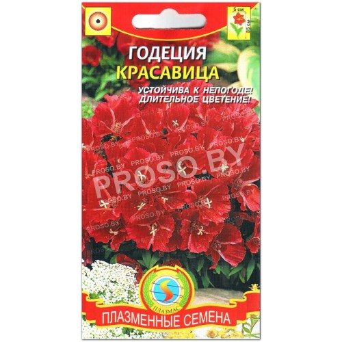 Годеция Красавица