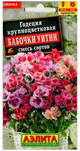Годеция крупноцветковая Бабочки Уитни, смесь
