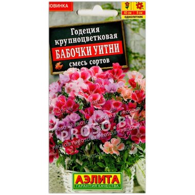 Годеция крупноцветковая Бабочки Уитни, смесь