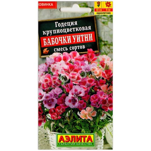 Годеция крупноцветковая Бабочки Уитни, смесь