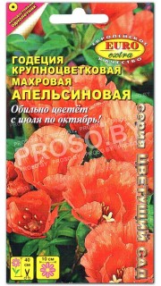 Годеция Апельсиновая