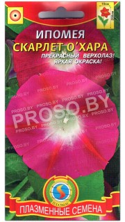 Ипомея Скарлет Охара