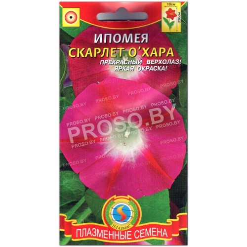 Ипомея Скарлет Охара
