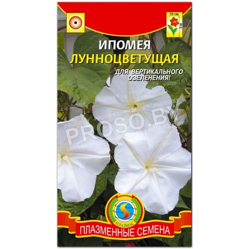 Ипомея Лунноцветущая-1