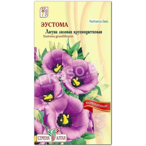 Эустома Лагуна лиловая