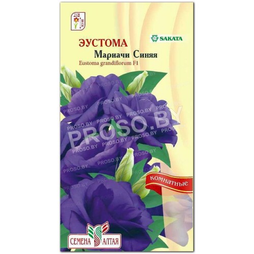Эустома Мариачи Синяя