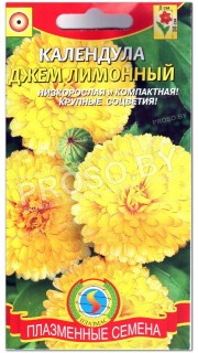Календула Джем лимонный