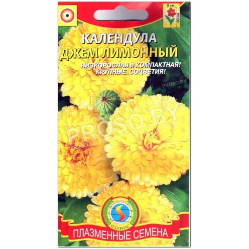 Календула Джем лимонный