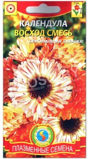 Календула Восход, смесь