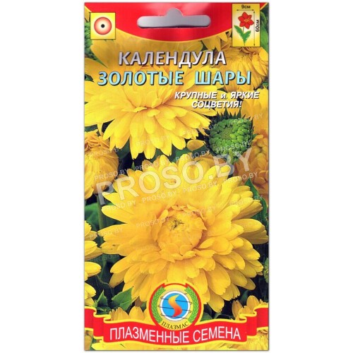 Календула Золотые шары