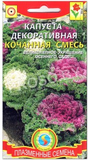 Капуста декоративная Кочанная, смесь
