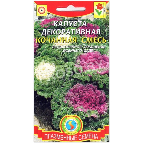 Капуста декоративная Кочанная, смесь
