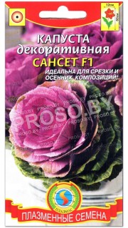 Капуста декоративная Сансет F1