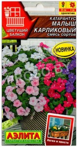 Катарантус Малыш карликовый, смесь