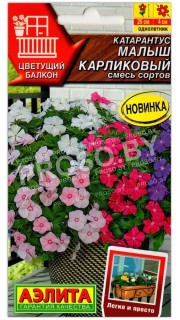 Катарантус Малыш карликовый, смесь