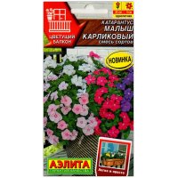 Катарантус Малыш карликовый, смесь