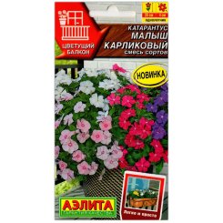 Катарантус Малыш карликовый, смесь