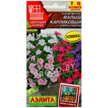 Катарантус Малыш карликовый, смесь