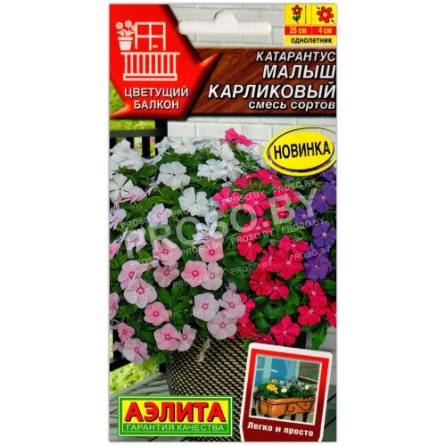 Катарантус Малыш карликовый, смесь