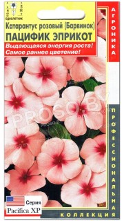 Катарантус розовый Пацифик эприкот