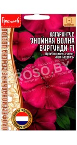 Катарантус Знойная волна бургунди F1