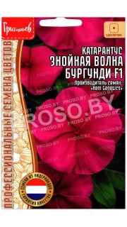 Катарантус Знойная волна бургунди F1