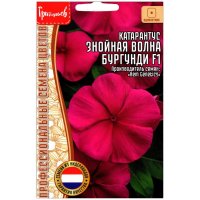 Катарантус Знойная волна бургунди F1
