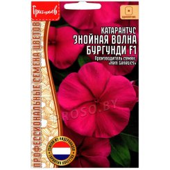 Катарантус Знойная волна бургунди F1