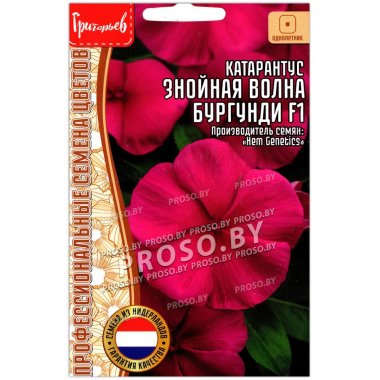 Катарантус Знойная волна бургунди F1