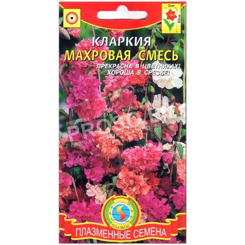 Кларкия Махровая смесь
