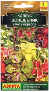 Колеус Волшебник, смесь
