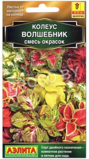 Колеус Волшебник, смесь