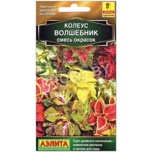 Колеус Волшебник, смесь