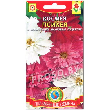 Космея Психея, смесь