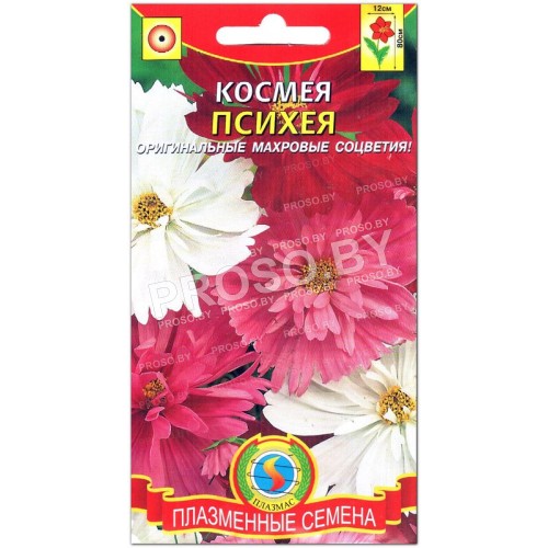 Космея Психея, смесь-1