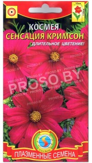 Космея Сенсация кримсон